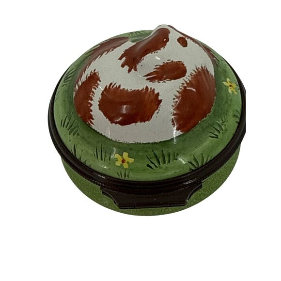 Halcyon Days Enamel Box Hand-Painted Sleeping Dog Design Green Grass Motif Engla - Picture 4 of 6